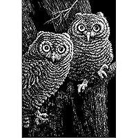 Algopix Similar Product 5 - Scratch Art Black Coated Scratchboards