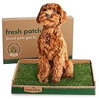 Algopix Similar Product 5 - Fresh Patch Real Grass Patch for Dogs