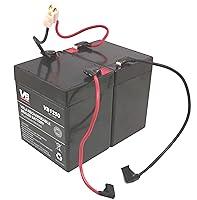 Algopix Similar Product 11 - Razor 24 Volt Battery E100 E125 E175
