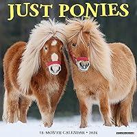 Algopix Similar Product 8 - Ponies 2024 12" x 12" Wall Calendar