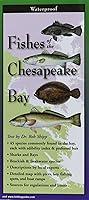 Algopix Similar Product 8 - Fishes of the Chesapeake Bay Folding