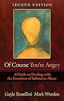 Algopix Similar Product 4 - Of Course Youre Angry A Guide to