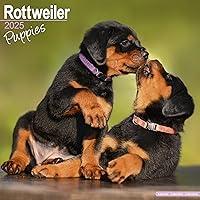 Algopix Similar Product 6 - Rottweiler Puppies Calendar 2025 