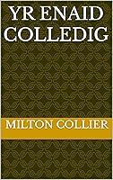 Algopix Similar Product 15 - Yr enaid colledig (Welsh Edition)