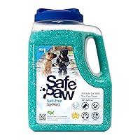 Algopix Similar Product 8 - Safe Paw DogChildPet Safe 100 Salt