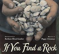 Algopix Similar Product 15 - If You Find a Rock