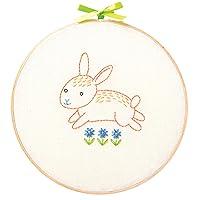 Algopix Similar Product 3 - Bunny embroidery starter kit for