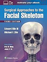 Algopix Similar Product 20 - Surgical Approaches to the Facial