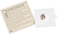 Algopix Similar Product 10 - Constantine the Great  Imperial Roman