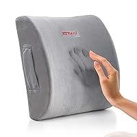 Algopix Similar Product 6 - Lumbar Pillow Back Pain Support  Seat