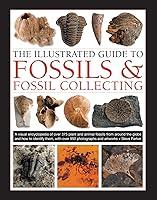 Algopix Similar Product 3 - The Illustrated Guide to Fossils 