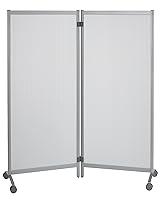 Algopix Similar Product 2 - PaperFlow Mobile Partition 67 x 30