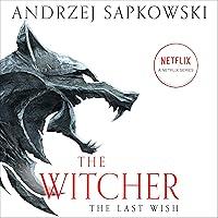 Algopix Similar Product 20 - The Last Wish