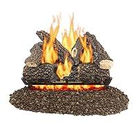 Algopix Similar Product 9 - Pleasant Hearth VentFree Gas Log Set