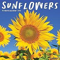 Algopix Similar Product 15 - Willow Creek Press Sunflowers Monthly