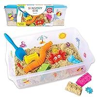 Algopix Similar Product 19 - Creativity for Kids Sensory Bin Beach