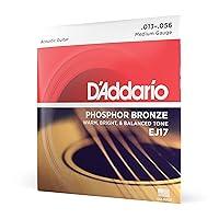 Algopix Similar Product 9 - DAddario Guitar Strings  Phosphor