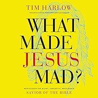 Algopix Similar Product 16 - What Made Jesus Mad Rediscover the