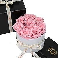 Algopix Similar Product 17 - Bouquet of Preserved Pink Roses in a