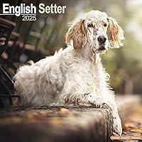 Algopix Similar Product 8 - English Setter Calendar 2025  Square