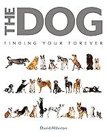 Algopix Similar Product 10 - The Dog: Finding Your Forever