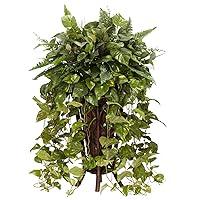 Algopix Similar Product 13 - Nearly Natural Vining Mixed Greens with