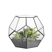 Algopix Similar Product 7 - NCYP Small Open Terrarium Planter 