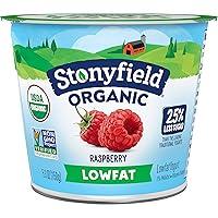 Algopix Similar Product 4 - Stonyfield Organic Yogurt Raspberry