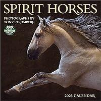 Algopix Similar Product 3 - Spirit Horses 2023 Wall Calendar