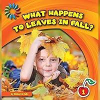 Algopix Similar Product 15 - What Happens to Leaves in Fall 21st