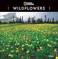 Algopix Similar Product 10 - National Geographic Wildflowers 2024