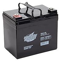 Algopix Similar Product 17 - Interstate Batteries 12V 35Ah Battery
