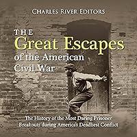 Algopix Similar Product 6 - The Great Escapes of the American Civil