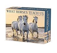 Algopix Similar Product 8 - What Horses Teach Us 2023 Box Calendar