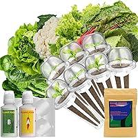 Algopix Similar Product 1 - LYKOCLEAN Salad Greens Seeds Pod for