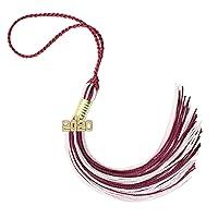 Algopix Similar Product 18 - 2020 MAROONLTPINK GRADUATION TASSEL 