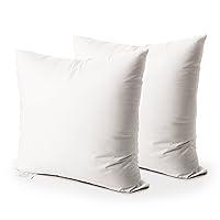 Algopix Similar Product 16 - EDOW Throw Pillow Insert Set of 2 Down
