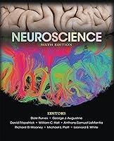 Algopix Similar Product 2 - Neuroscience