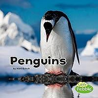 Algopix Similar Product 11 - Penguins