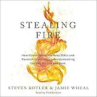 Algopix Similar Product 2 - Stealing Fire How Silicon Valley the