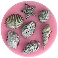 Algopix Similar Product 9 - Funshowcase Assorted Sea Star Seashells