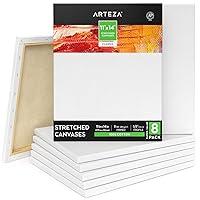 Algopix Similar Product 16 - Arteza 11x14 Inch Stretched Canvas