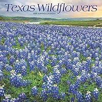 Algopix Similar Product 17 - Texas Wildflowers 2025 12 X 24 Inch