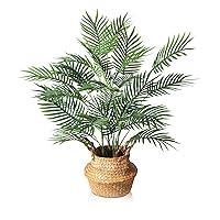 Algopix Similar Product 4 - SOGUYI Artificial Palm Tree 28 Inch