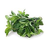 Algopix Similar Product 14 - Organic Mint, 1 Bunch
