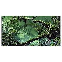 Algopix Similar Product 3 - Dizifinn Foggy Forest Terrarium