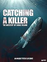 Algopix Similar Product 2 - Catching A Killer The Mystery Of Sable