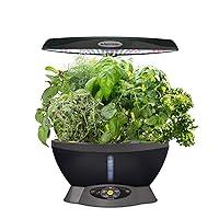 Algopix Similar Product 12 - AeroGarden Classic 6 with Gourmet Herb
