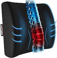 Algopix Similar Product 4 - FORTEM Lumbar Support Office Chair