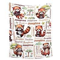 Algopix Similar Product 9 - Personalized Baby Blanket for Girls